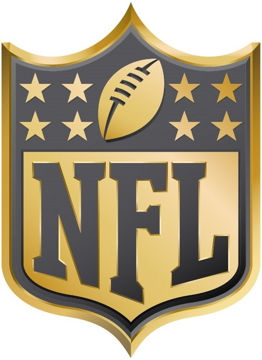 National Football League 2015 Anniversary Logo iron on transfers for T-shirts